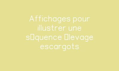 Image de la ressource