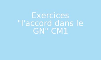 Image de Exercices "l'accord dans le GN" CM1