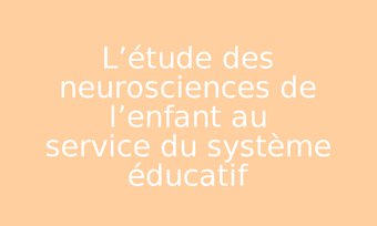 Image de L’étude des neurosciences de l’enfant au service du système éducatif