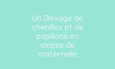 Image de la ressource
